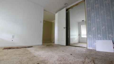 No Tests? Why..So..Serious..? - IMG_2036.JPG