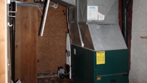 No Tests? Why..So..Serious..? - IMG_2037.JPG