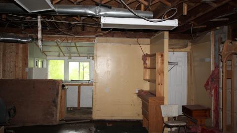 No Tests? Why..So..Serious..? - IMG_2038.JPG