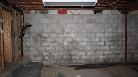 No Tests? Why..So..Serious..? - IMG_2039.JPG