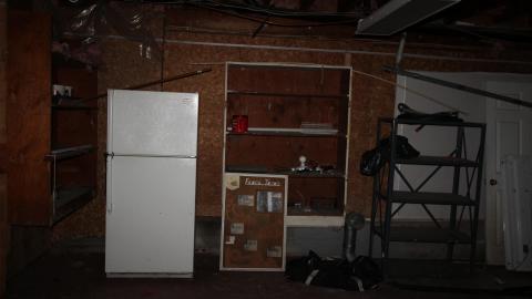 No Tests? Why..So..Serious..? - IMG_2041.JPG