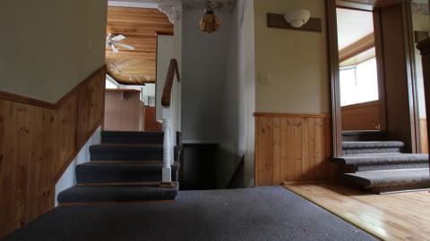 No Tests? Why..So..Serious..? - IMG_2047.JPG