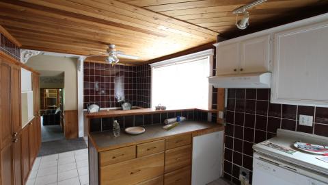 No Tests? Why..So..Serious..? - IMG_2056.JPG