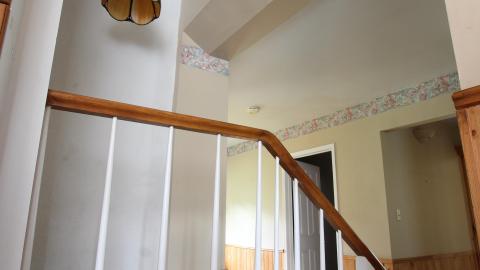 No Tests? Why..So..Serious..? - IMG_2060.JPG