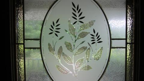 No Tests? Why..So..Serious..? - IMG_2066.JPG