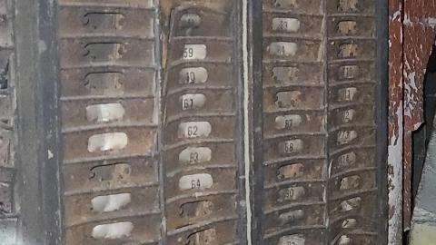 Evening Exploring - DSC_0074.JPG