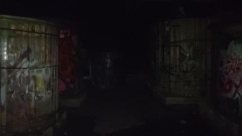 Evening Exploring - DSC_0068.JPG