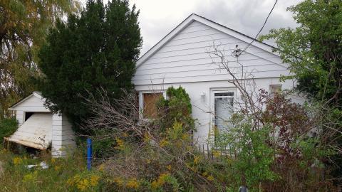 Oct '20 - DSC03813.JPG