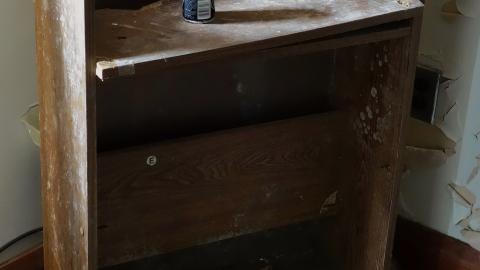 Oct '20 - DSC03848.JPG