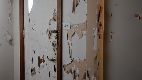 Dance The Rite-Way photo 2