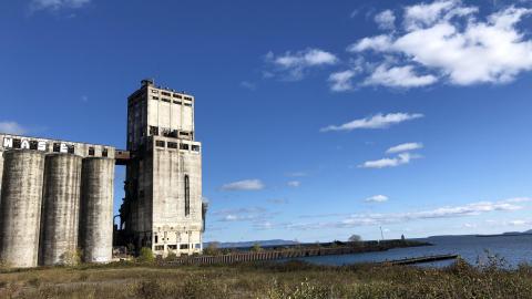 Still standing - 1F514574-7617-44ED-AD24-BE94C7B30E18.jpeg