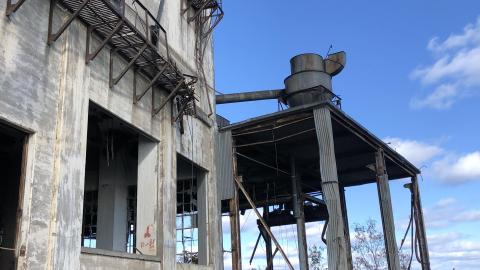 Still standing - 59BAC51F-FDC1-44C8-B94B-B85249E3B3D3.jpeg