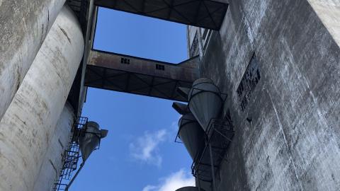 Still standing - 69397471-2868-4A9A-B62F-9240D7D12ACB.jpeg