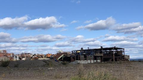 Still standing - D50AC222-60BA-48EE-9D88-17829B1C1CD1.jpeg