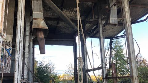 Still standing - 8A681D4F-48B8-410D-9C1C-D4C2E2DA9E8B.jpeg