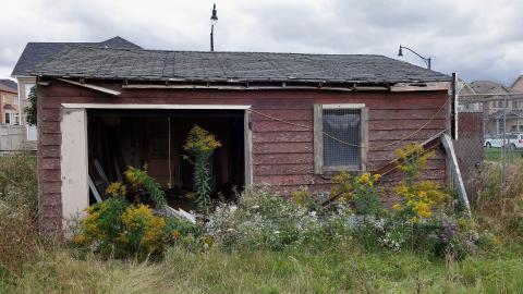 Tenants Willing To Stay photo 2