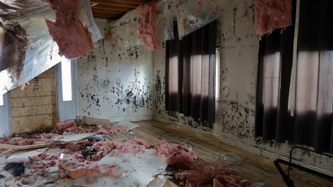 Oct '20 - DSC03793.JPG