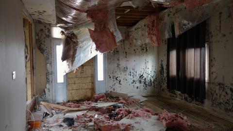 Oct '20 - DSC03764.JPG