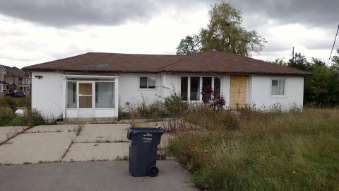 Oct '20 - DSC03763.JPG