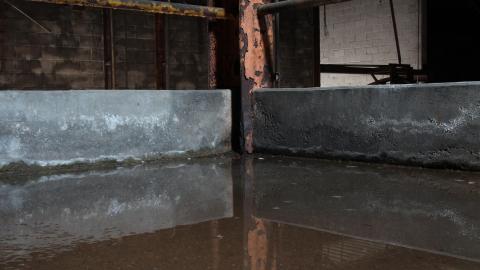 Long Time Coming..... - IMG_5946.JPG