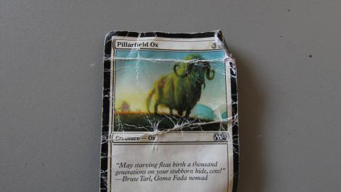 4 Months, 4 Million Times The FILTH - IMG_5885.JPG