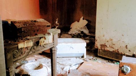 Behind the Blue Sheet - 20201010_163029.jpg