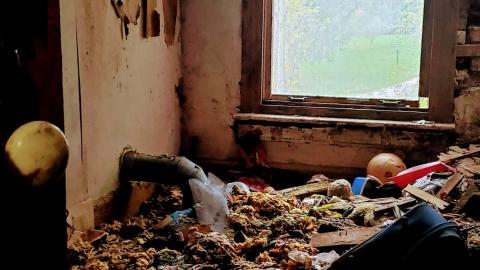 Behind the Blue Sheet - 20201010_163102.jpg