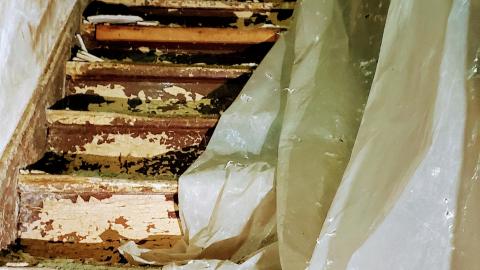 Behind the Blue Sheet - 20201010_162852.jpg