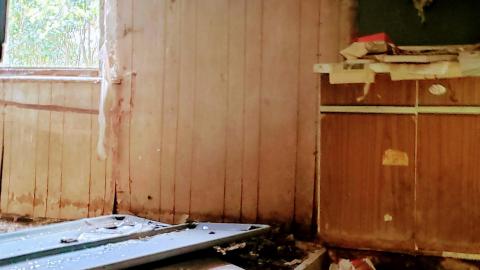 Photo from Behind the Blue Sheet