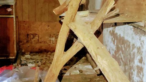 Behind the Blue Sheet - 20201010_162920.jpg