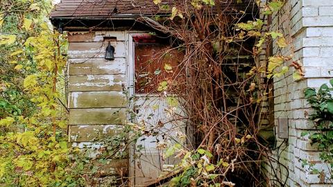 Behind the Blue Sheet - 20201010_163421.jpg