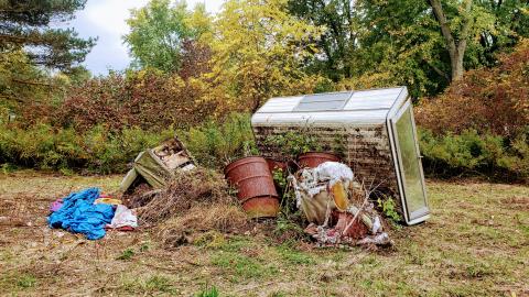 Behind the Blue Sheet - 20201010_163556.jpg