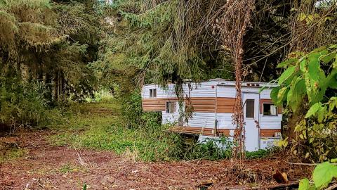 Behind the Blue Sheet - 20201010_162435.jpg