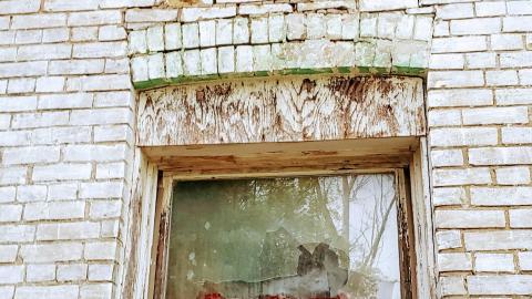 Photo from Behind the Blue Sheet