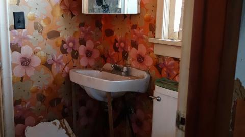 Went For The Bed 3/20 - DSC05378.JPG