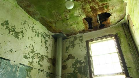 Photo from 8/8/2020 - The Definitive Edition