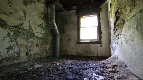 8/8/2020 - The Definitive Edition - IMG_3219.JPG