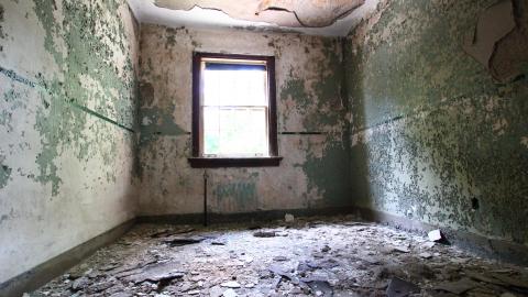 8/8/2020 - The Definitive Edition - IMG_3218.JPG