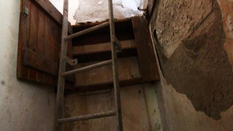 Photo from 8/8/2020 - The Definitive Edition