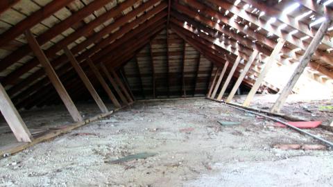 Photo from 8/8/2020 - The Definitive Edition