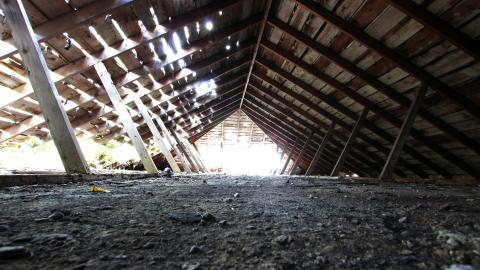 8/8/2020 - The Definitive Edition - IMG_3226.JPG