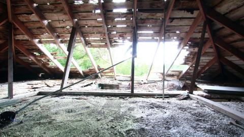 8/8/2020 - The Definitive Edition - IMG_3227.JPG