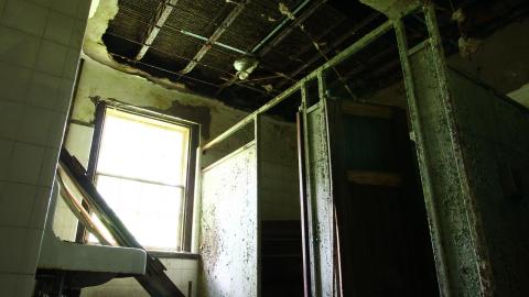 8/8/2020 - The Definitive Edition - IMG_3192.JPG