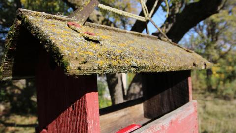 Tangela's Killer - IMG_6085.JPG