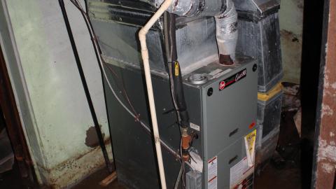 Tangela's Killer - IMG_6083.JPG