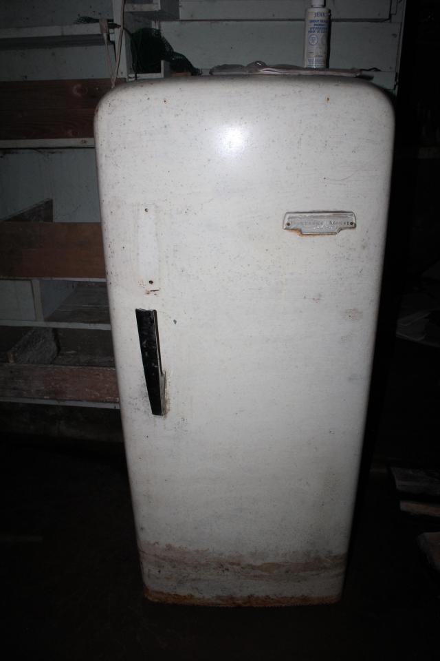 Green Painted Plants Live Forever - Kitchener, Ontario