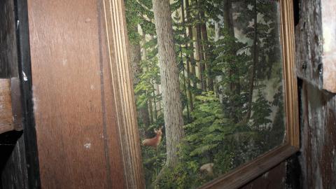 Tangela's Killer - IMG_6073.JPG