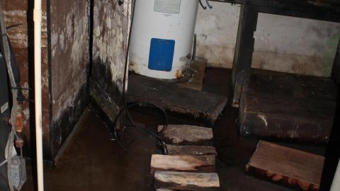 Tangela's Killer - IMG_6072.JPG