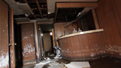 Tangela's Killer - IMG_6070.JPG