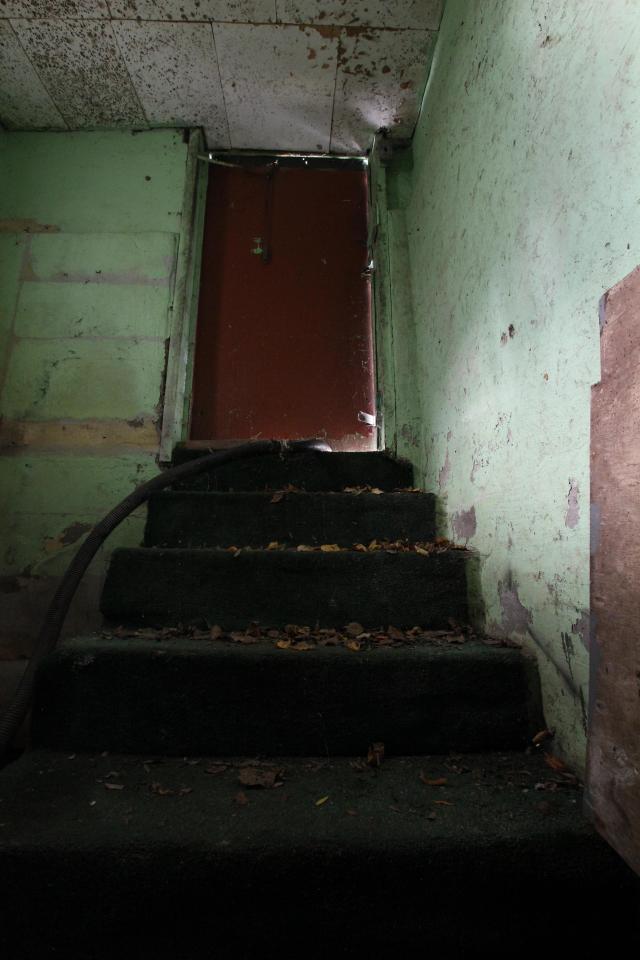 Green Painted Plants Live Forever photo 2